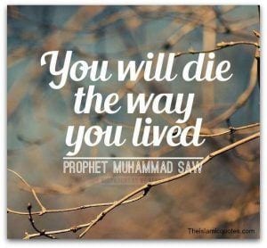 50 Islamic Quotes on Life with Images and Meaning  