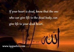 50 Islamic Quotes on Life with Images and Meaning  