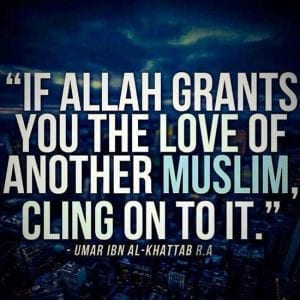 50 Best Islamic Quotes about Love with Images