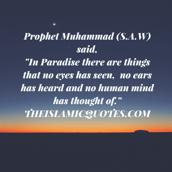 50+ Inspirational Quotes Of Prophet Muhammad (P.B.U.H) & Sayings