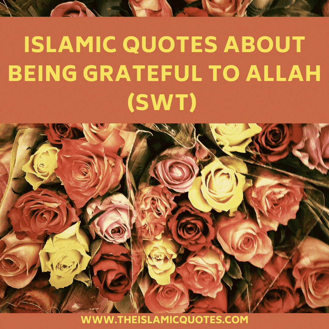 Gratitude Quotes - 23 Islamic Quotes About Being Grateful