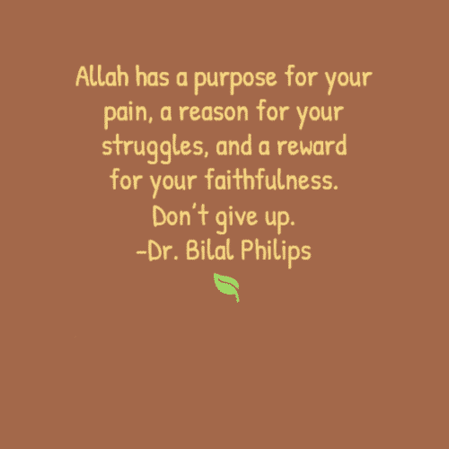 35 Best Islamic Motivational Quotes By Bilal Philips