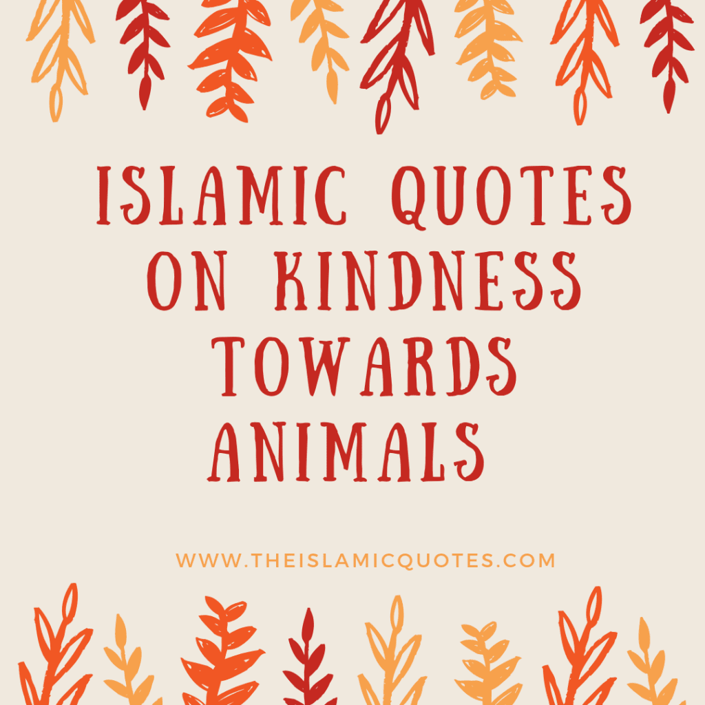 20-islamic-quotes-on-kindness-to-animals