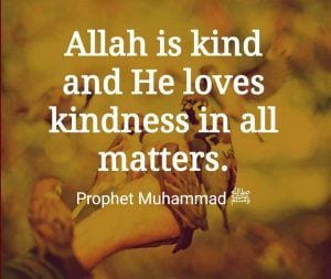 kindness in islam essay