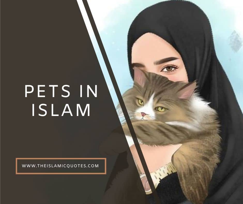 Pets in Islam Complete Guide on What’s Allowed & What’s Not