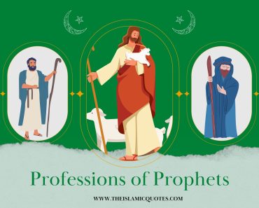 Exemplary Professions of the Prophets in Islam